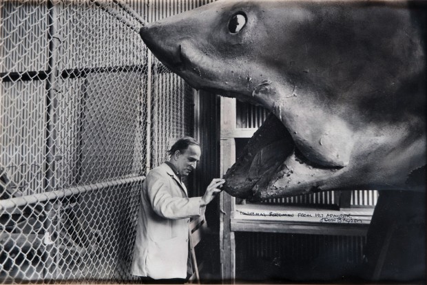 Ingmar Bergman and the shark from the movie Jaws, by John Bryson, 1975