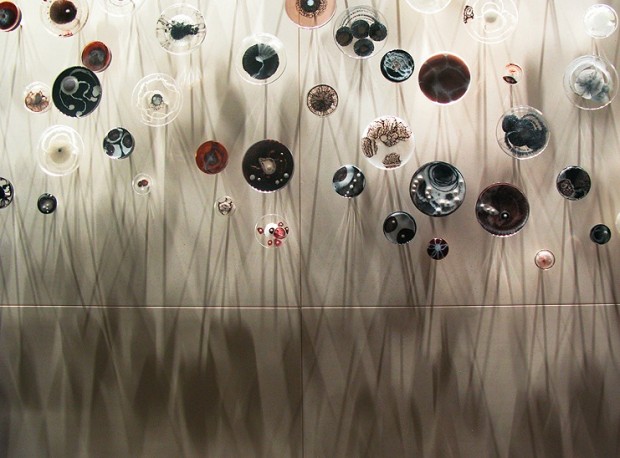 Detail image of Petri dish installation in Shanghai Peninsula Hotel. © Klari Reis